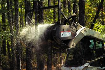 Bobcat forestry cutter attachment easily cuts through a tree in a wooded area.