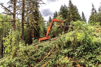 Doosan DX380LL-5 Log Loader moves timber.