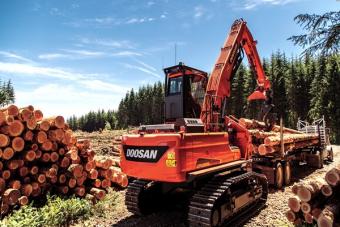 Doosan DX225LL-5 log loader places logs onto a truck.